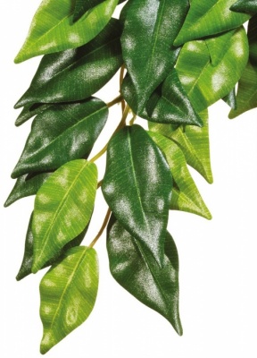 Тропическое растение EX Jungle Plants пластиковое Фикус среднее 55х25см PT3040 (H230407) H230407