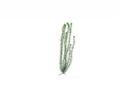 Пластиковое растение Plant 004 - Элодея ЗЕЛЕНАЯ, 30 см